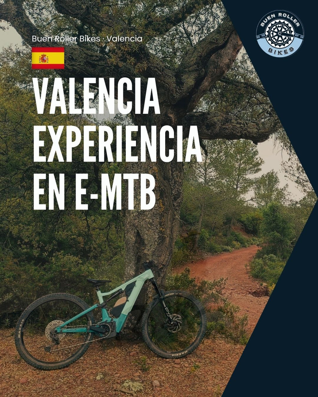 Valencia experiencia en bici de montaña eléctrica