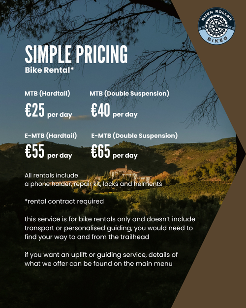 Mountain Bike Rentals