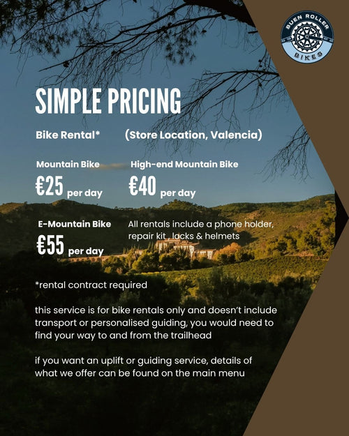 Mountain Bike Rentals